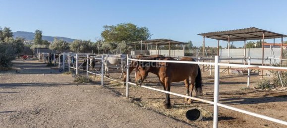 1 bedroom House in La Zubia, Spain No. 167852 38