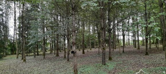 Casa de 3 dormitorios en Aubenton, France No. 239589 4