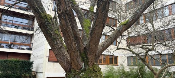 3 bedrooms Apartment in La Celle-Saint-Cloud, France No. 151399 9