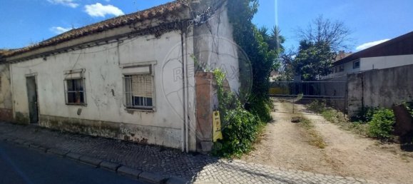 1 Schlafzimmer Haus in Barreiro, Portugal, Nr. 27428 15