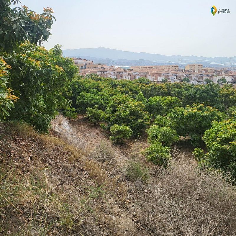 Terrain à Granada, Spain 16821m² No. 237907