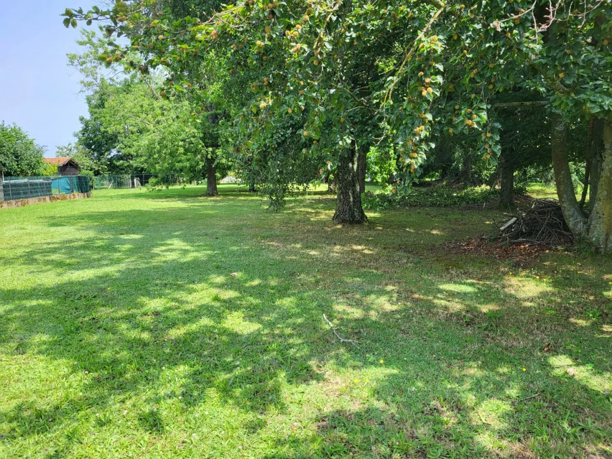  قطعة أرض في Cruzilles-les-Mepillat, France 1230متر مربع رقم 100234