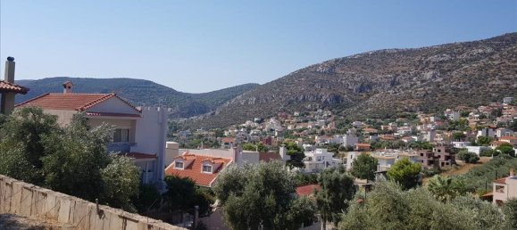 Propriété commerciale à Markopoulo Mesogaias, Greece 276m² No. 4113 20