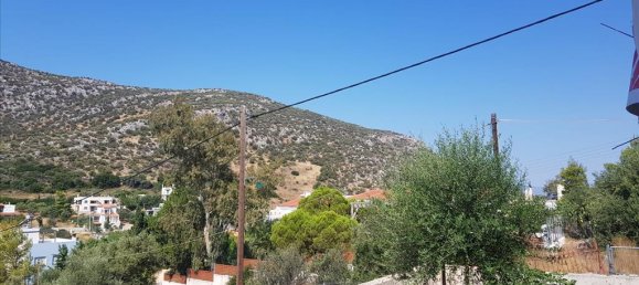 Propriété commerciale à Markopoulo Mesogaias, Greece 276m² No. 4113 19