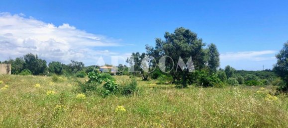 Terreno em Almancil, Portugal 6467 m² N.º 146673 15