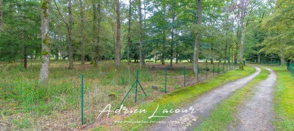 5 bedrooms House in Pruniers-en-Sologne, France No. 246911 18