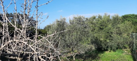 6-salle Maison à Sorso, Italy No. 255615 13