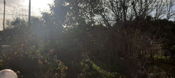 6-salle Maison à Sorso, Italy No. 255615 12