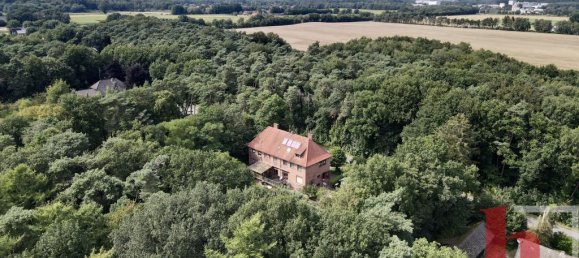 15 rooms Townhouse in Vechta, Germany No. 176852 2