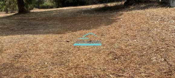 Terreno en Cervione, France 1200 m² No. 90483 2