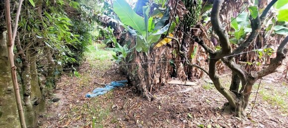 5 غرف نوم قلاع في Vila Franca do Campo, Portugal رقم 33270 23