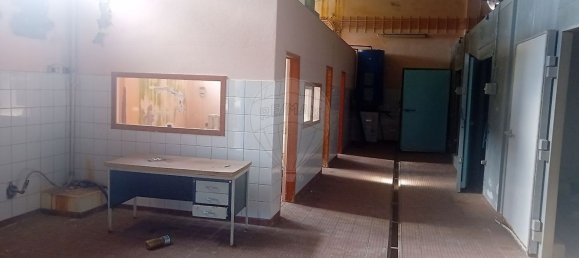 1 Schlafzimmer Haus in Santa Cruz da Graciosa, Portugal, Nr. 25586 9