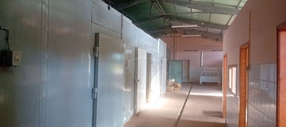 1 Schlafzimmer Haus in Santa Cruz da Graciosa, Portugal, Nr. 25586 5