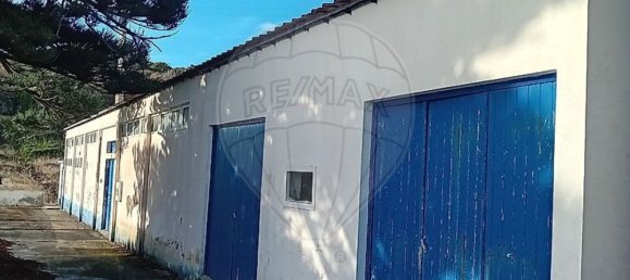 1 Schlafzimmer Haus in Santa Cruz da Graciosa, Portugal, Nr. 25586 3