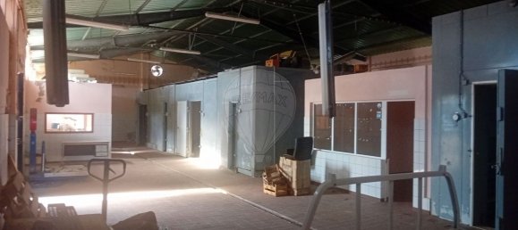 1 Schlafzimmer Haus in Santa Cruz da Graciosa, Portugal, Nr. 25586 7