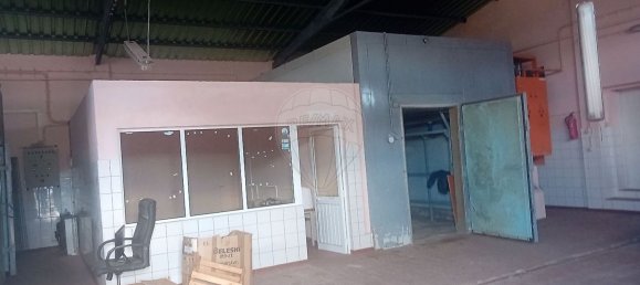 1 Schlafzimmer Haus in Santa Cruz da Graciosa, Portugal, Nr. 25586 10