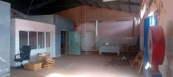 1 Schlafzimmer Haus in Santa Cruz da Graciosa, Portugal, Nr. 25586 8