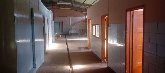 1 Schlafzimmer Haus in Santa Cruz da Graciosa, Portugal, Nr. 25586 6