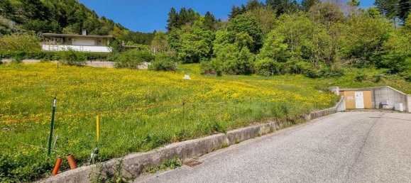 439m² Land in Emilia Romagna, Italy No. 109733 2