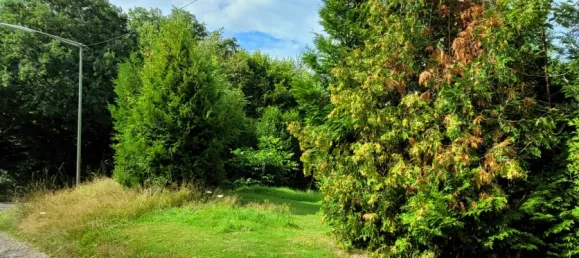 Terreno em Rhein-Sieg, Germany N.º 331184 6