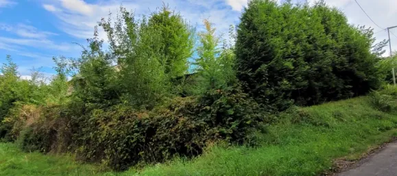 Terreno em Rhein-Sieg, Germany N.º 331184 9