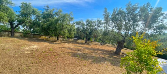 Вилла с 4 спальнями в Аквавива Пичена, Италия № 356532 44