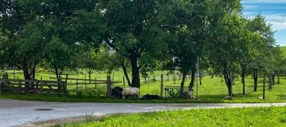  Land in Lochen am See, Austria No. 212683 15