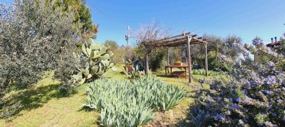 5 rooms House in Capraia e Limite, Italy No. 50497 5
