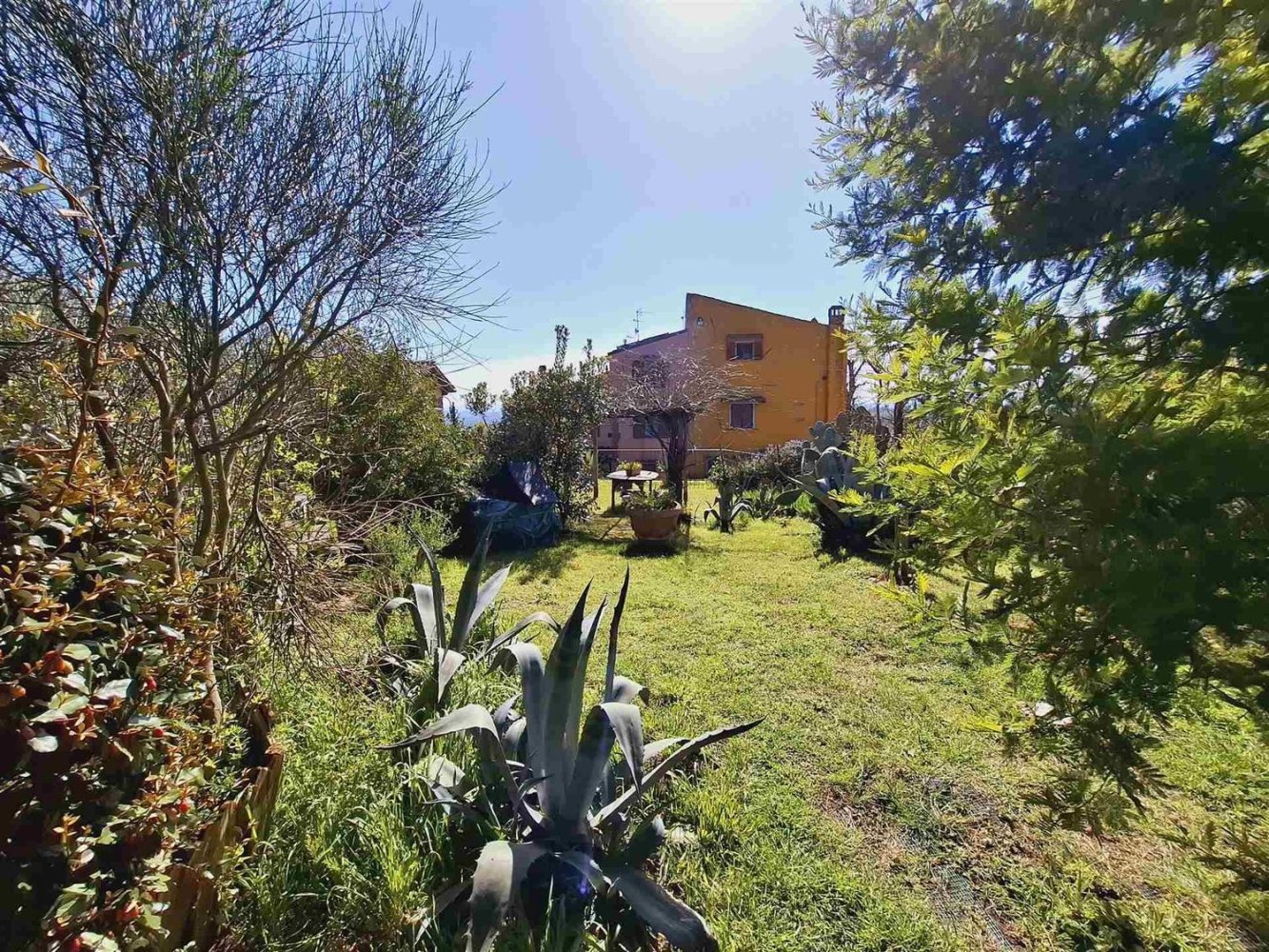 5 rooms House in Capraia e Limite, Italy No. 50497