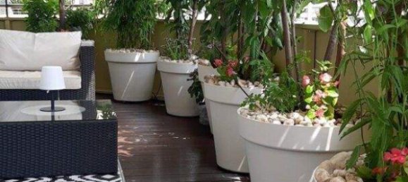 2-Zimmer Wohnung in Straßgang, Austria, Nr. 230743 6