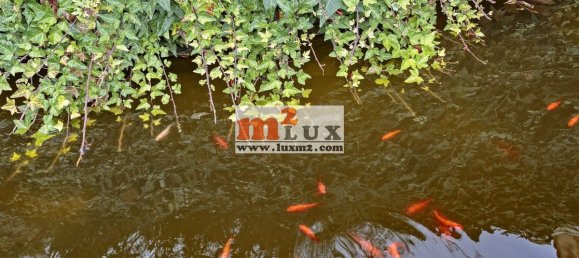 7 bedrooms Villa in Platja D'aro, Spain No. 13316 10