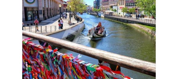 4 bedrooms House in Aradas, Portugal No. 153535 21