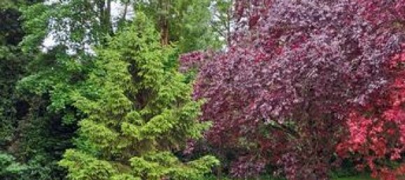 Apartamento T2 em Chalons-en-Champagne, France N.º 307774 8