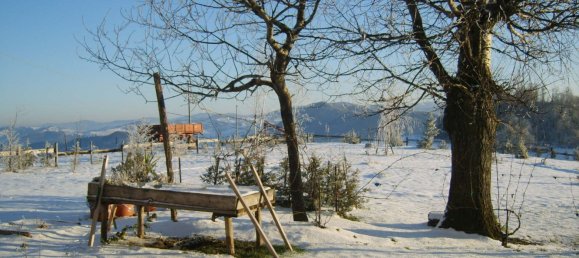 10 rooms House in Alta Val Tidone, Italy No. 173568 14