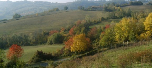 10 rooms House in Alta Val Tidone, Italy No. 173568 15