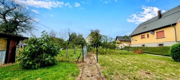 789m² Land in Uhlwiller, France No. 242463 4