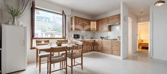 1 chambre Appartement à Évian-les-Bains, France No. 206223 38