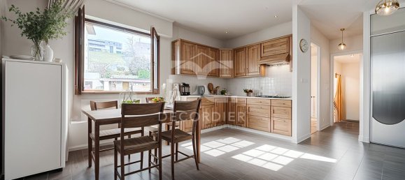 1 chambre Appartement à Évian-les-Bains, France No. 206223 30