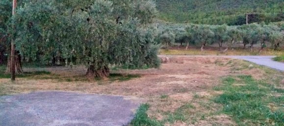 Property in Thasos, Greece 300m², Nr. 6089 7