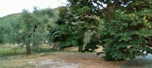 Property in Thasos, Greece 300m², Nr. 6089 6