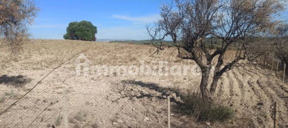  قطعة أرض في Noto, Italy 40000متر مربع رقم 68427 29