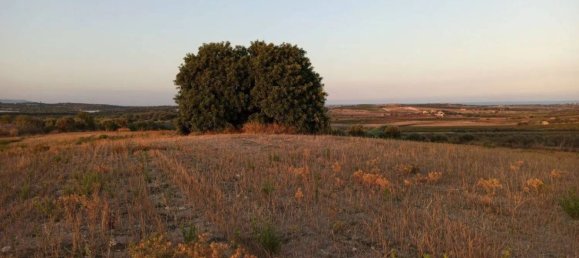  قطعة أرض في Noto, Italy 40000متر مربع رقم 68427 21