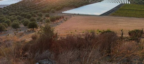  قطعة أرض في Noto, Italy 40000متر مربع رقم 68427 12