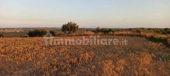  قطعة أرض في Noto, Italy 40000متر مربع رقم 68427 9