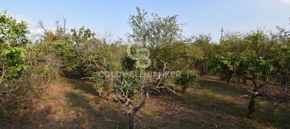 Terrain à Santa Venerina, Italy 5480m² No. 63576 24