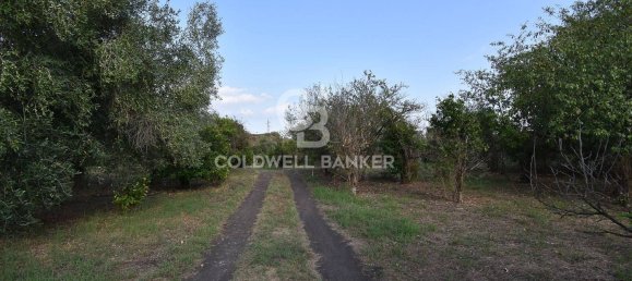 Terrain à Santa Venerina, Italy 5480m² No. 63576 28