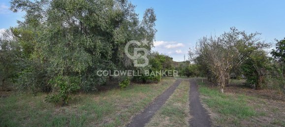 Terrain à Santa Venerina, Italy 5480m² No. 63576 31