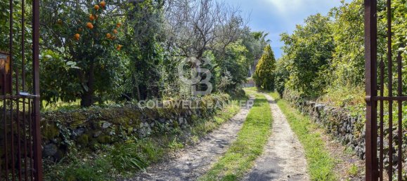 Terrain à Santa Venerina, Italy 5480m² No. 63576 2