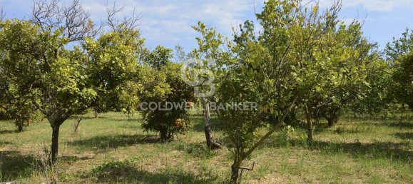 Terrain à Santa Venerina, Italy 5480m² No. 63576 4