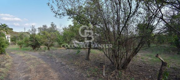 Terrain à Santa Venerina, Italy 5480m² No. 63576 30